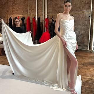 May be an image of gown, dress and text