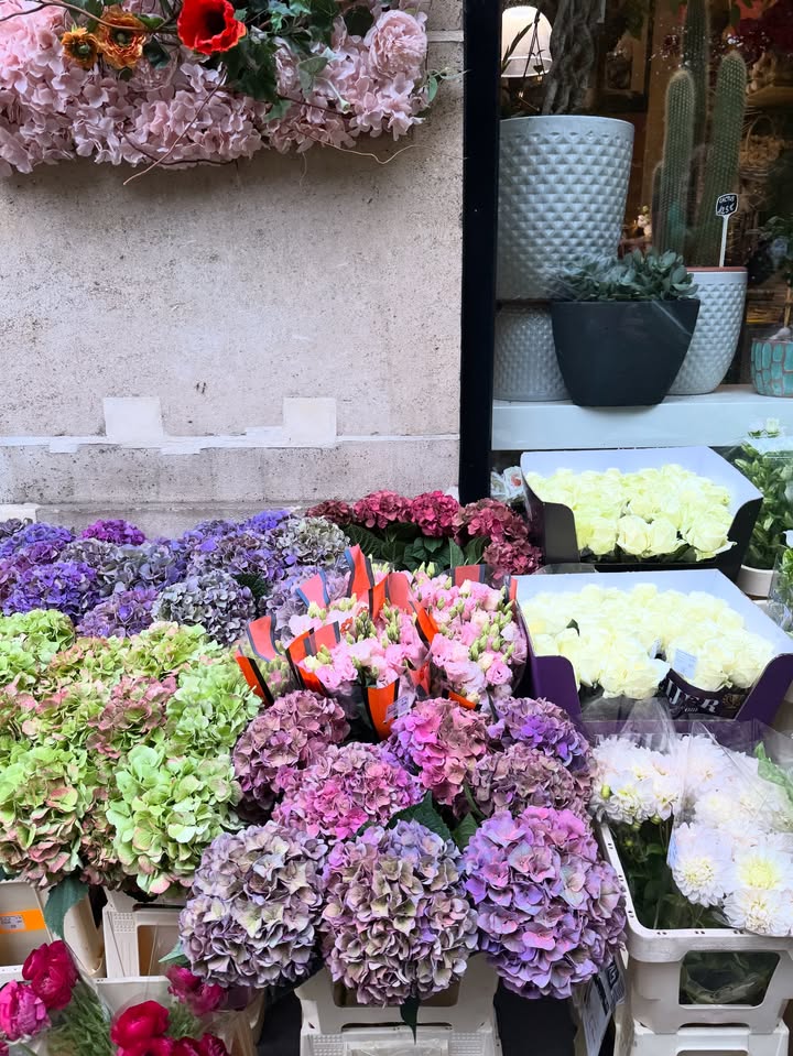 No photo description available.