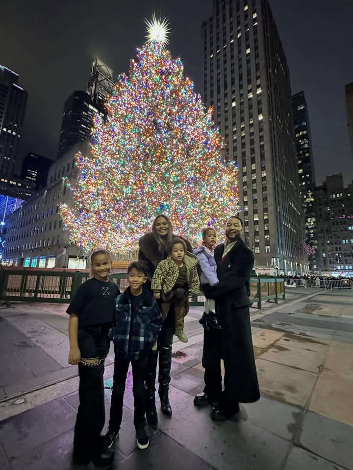 May be an image of christmas tree and text