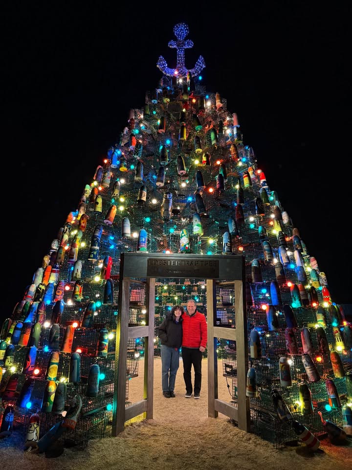 May be an image of christmas tree, tinsel, park and text