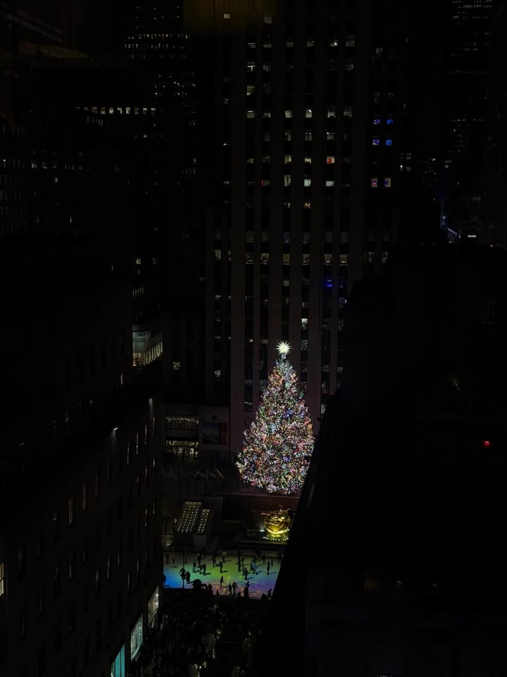 May be an image of christmas tree, night and text