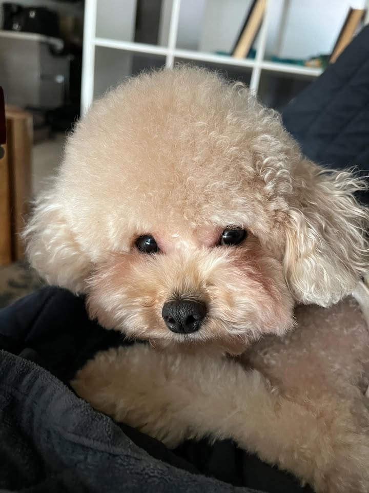 No photo description available.