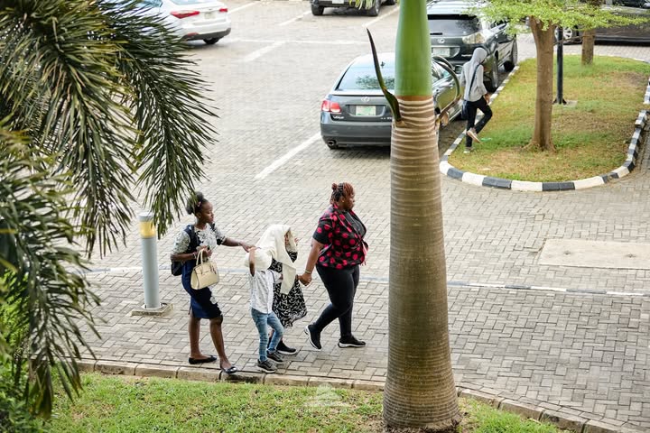 No photo description available.