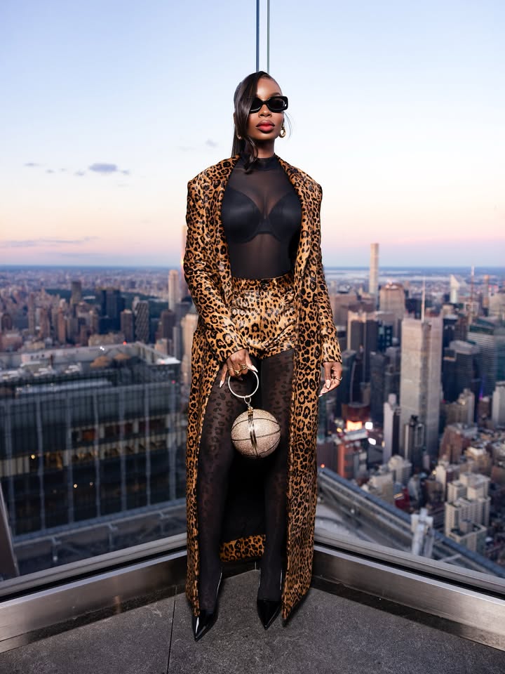 No photo description available.