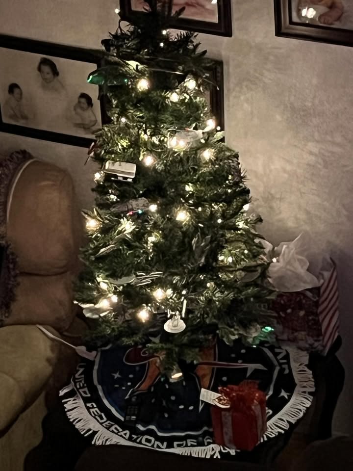 May be an image of christmas tree, tinsel and text