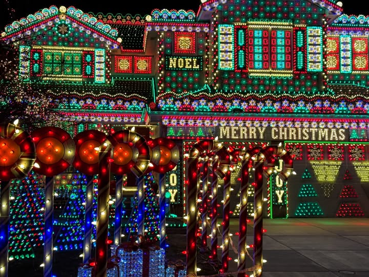 May be an image of lighting, christmas tree, tinsel and text