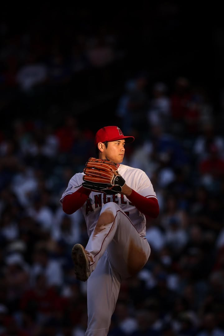 No photo description available.