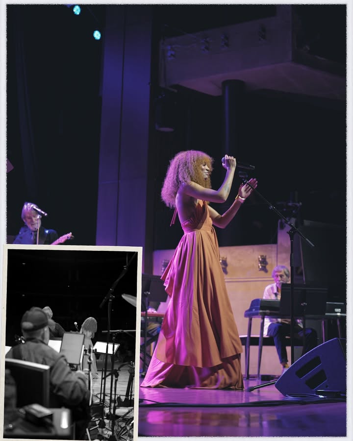 May be an image of piano, violin, tambourine, concert and text