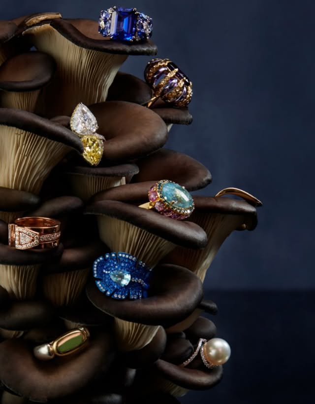 May be an image of shiitake mushrooms, mushroom and text