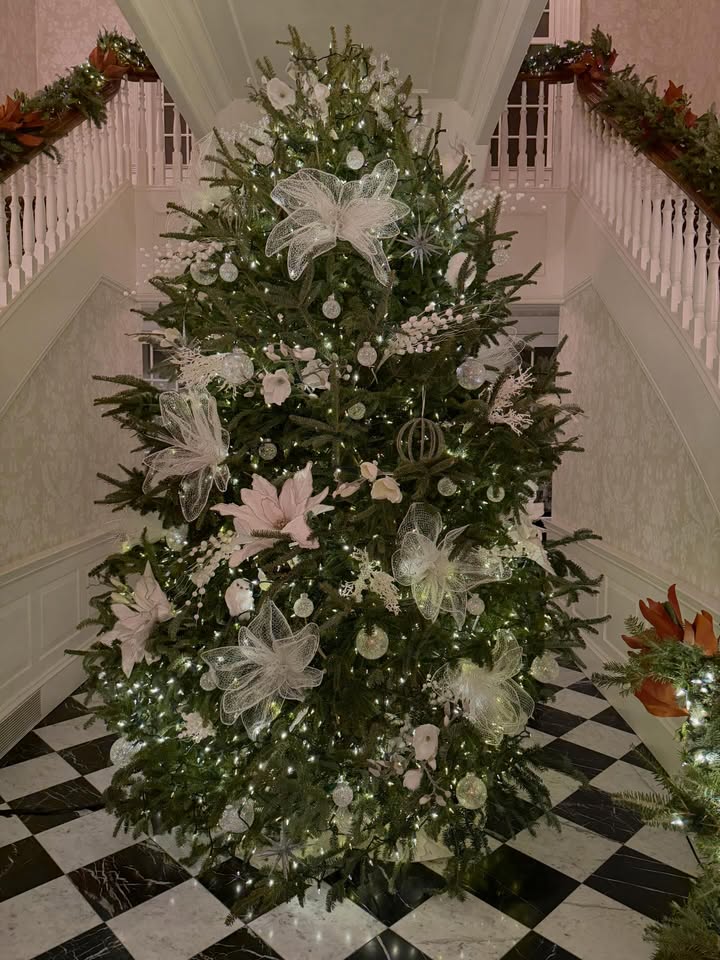 May be an image of christmas tree, tinsel and text