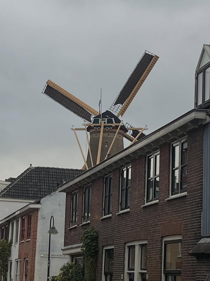 May be an image of windmill and text