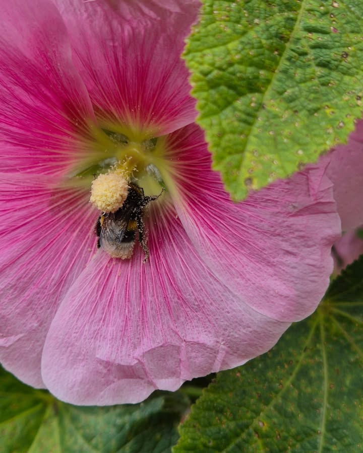 No photo description available.