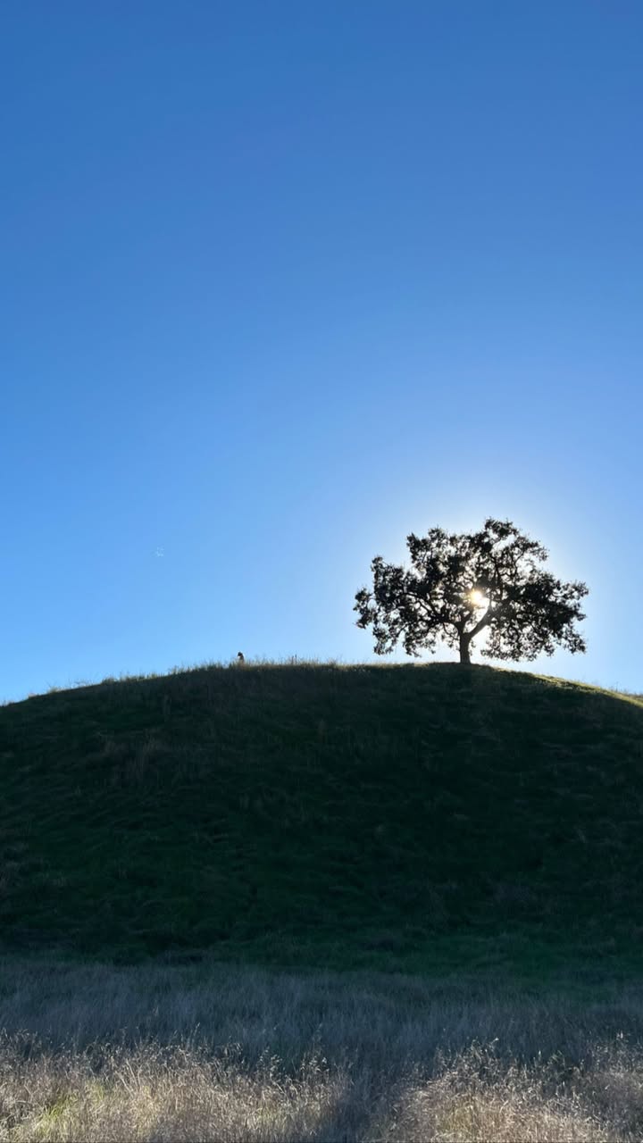 No photo description available.