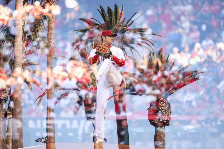 No photo description available.