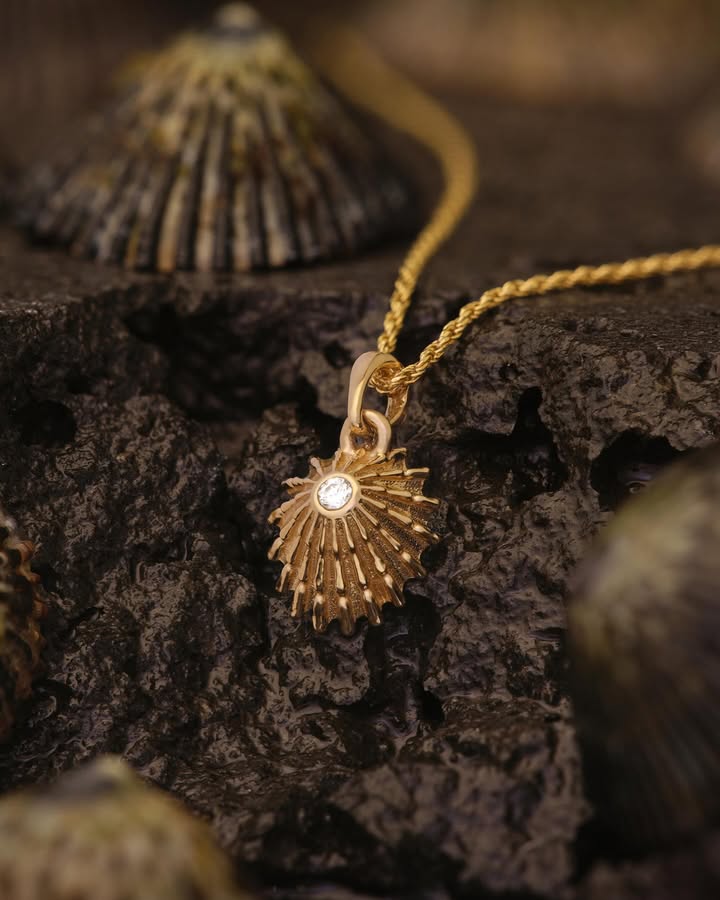 May be an image of jewelry and text