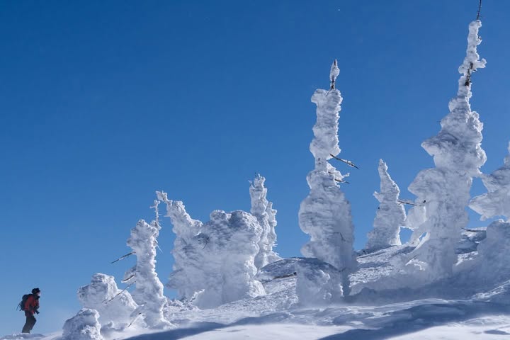 No photo description available.