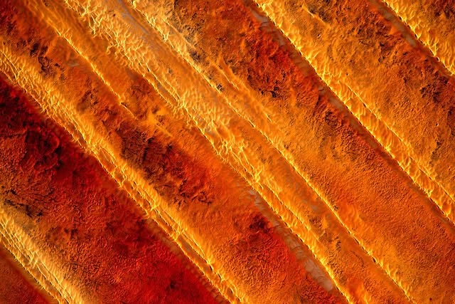 No photo description available.