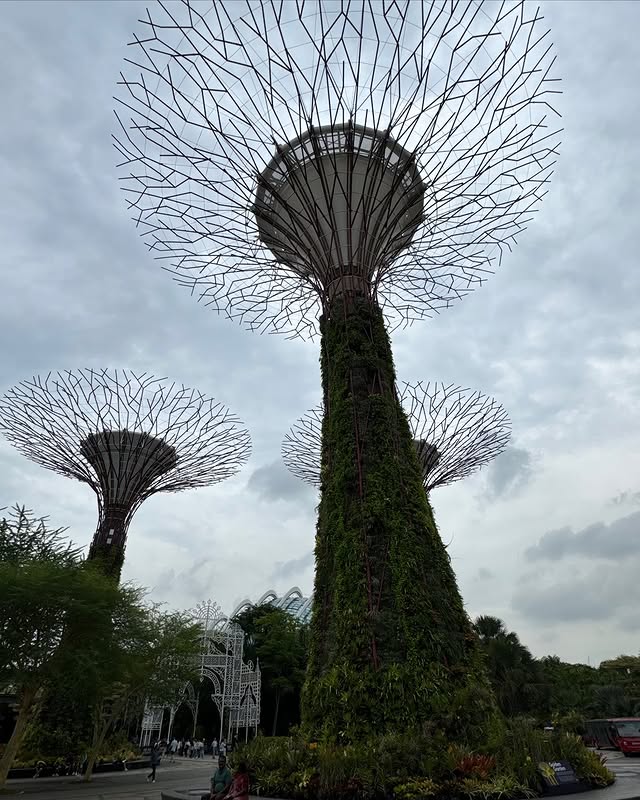 May be an image of text