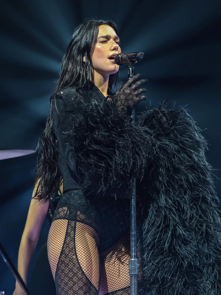 No photo description available.