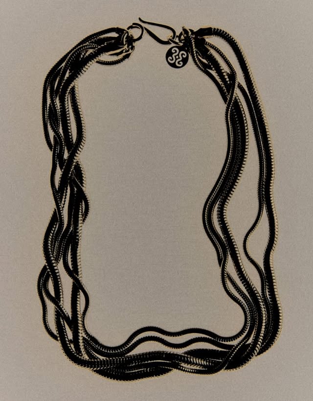 May be an image of necklace and text