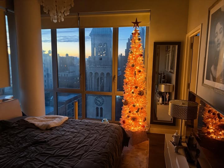 May be an image of christmas tree, bedroom and text