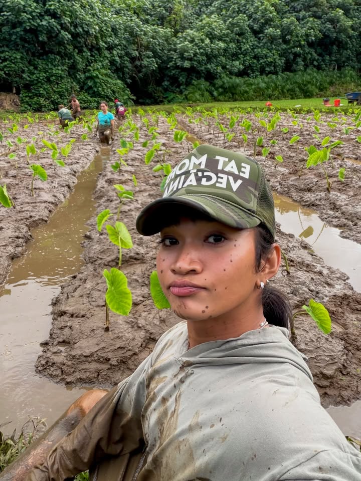 May be an image of outdoors and text that says 'OM TAE ADEA OMTA DEC'