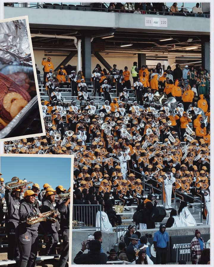 May be an image of baseball, crowd, stadium and text