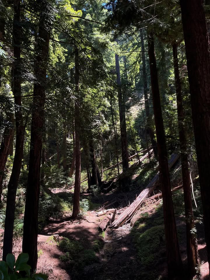 No photo description available.