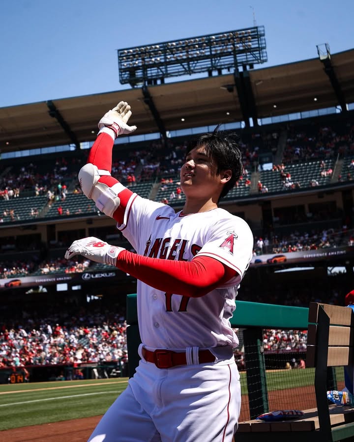 No photo description available.