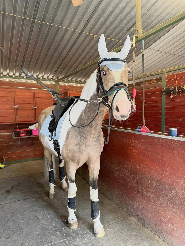 May be an image of text