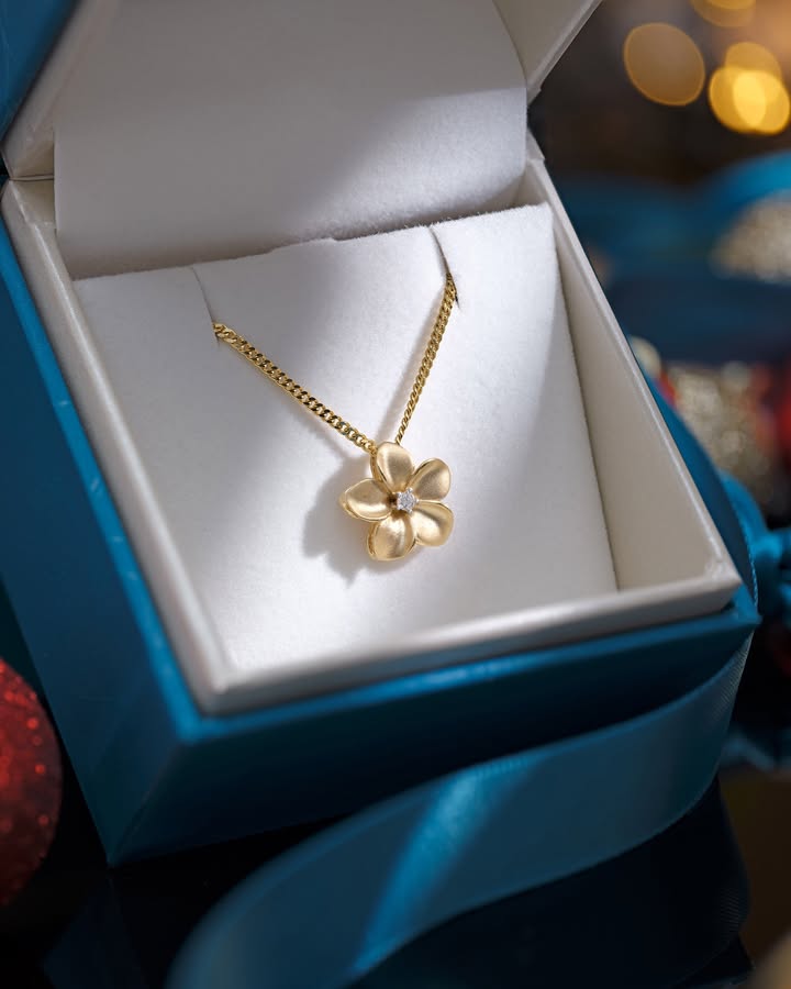 May be an image of necklace and text