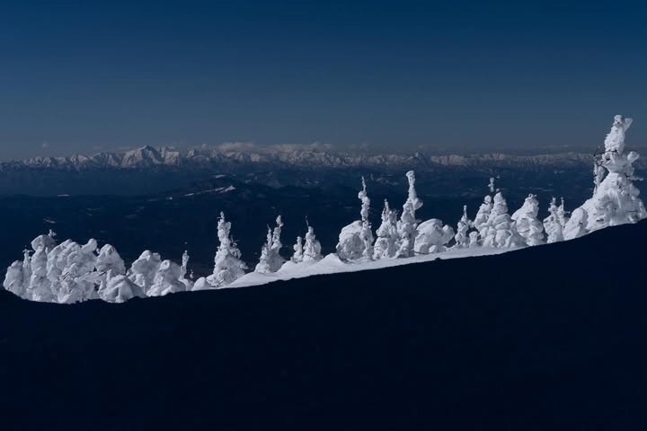 No photo description available.