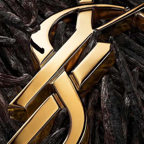 May be an image of jewelry, belt buckle, padlock and text