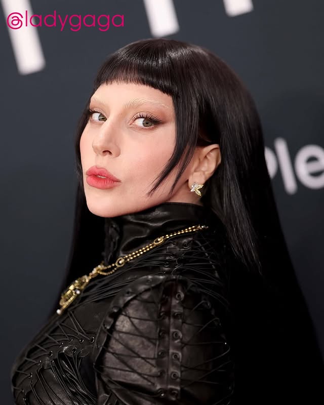 No photo description available.