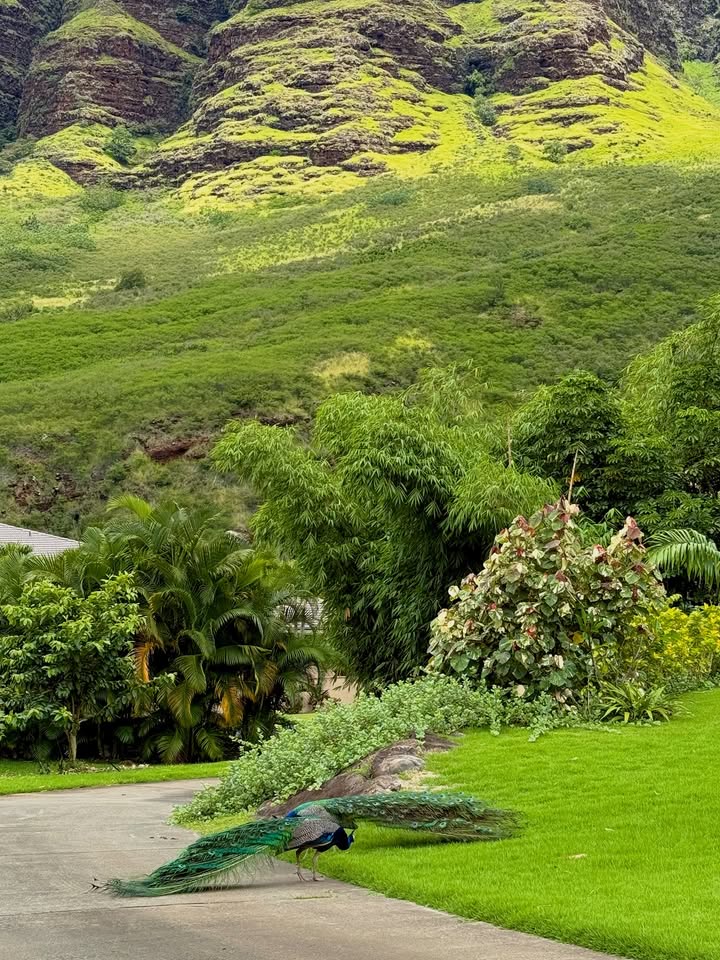 May be an image of park and text