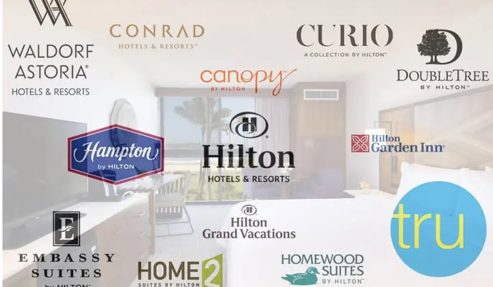 May be an image of ‎furniture and ‎text that says '‎โด WALDORF ASTORIA HOTELS & RESORTS CONRAD HOTELS HOTELS&RESORTS" & RESORTS- CURIO ACOLLECTIONBYHILTON A ACOLLECTION BY HILTON" canopy BY BYHILTON BYHILTON מ DOUBLETREE BY HILTON- Hampton byHILTON HILTON by க Hilton HOTELS HOTELS&RESORTS & RESORTS Hilton Garden Inn' E EMBASSY M SUITES LITAN Hilton Grand Vacations HOME 2 SUITES BY HILTON HOMEWOOD SUITES BY HILTON tru‎'‎‎