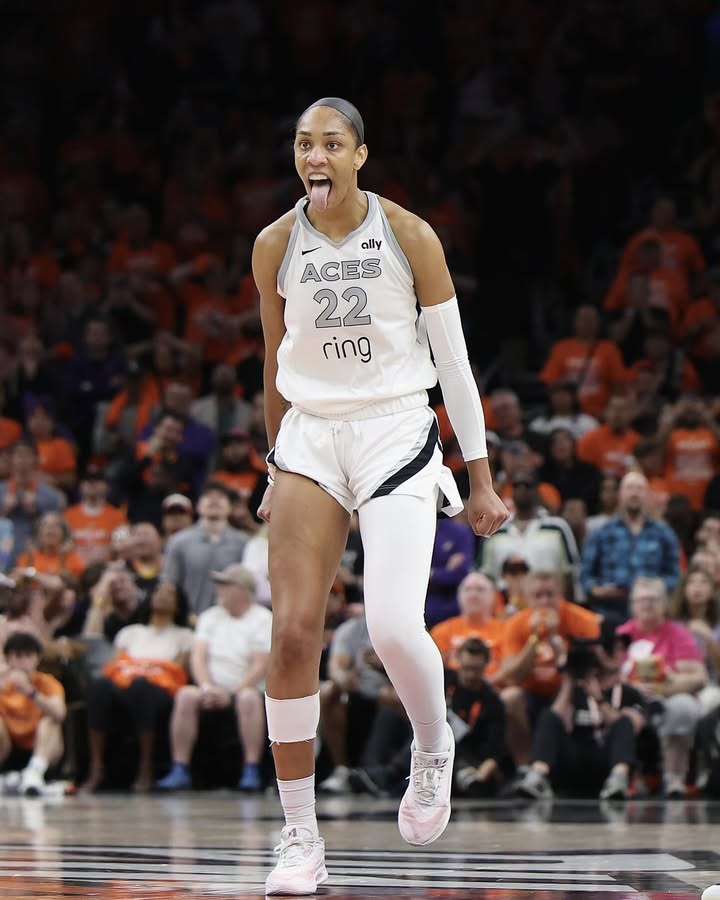 May be an image of basketball, ball and text that says 'ally ACES 22 ring'