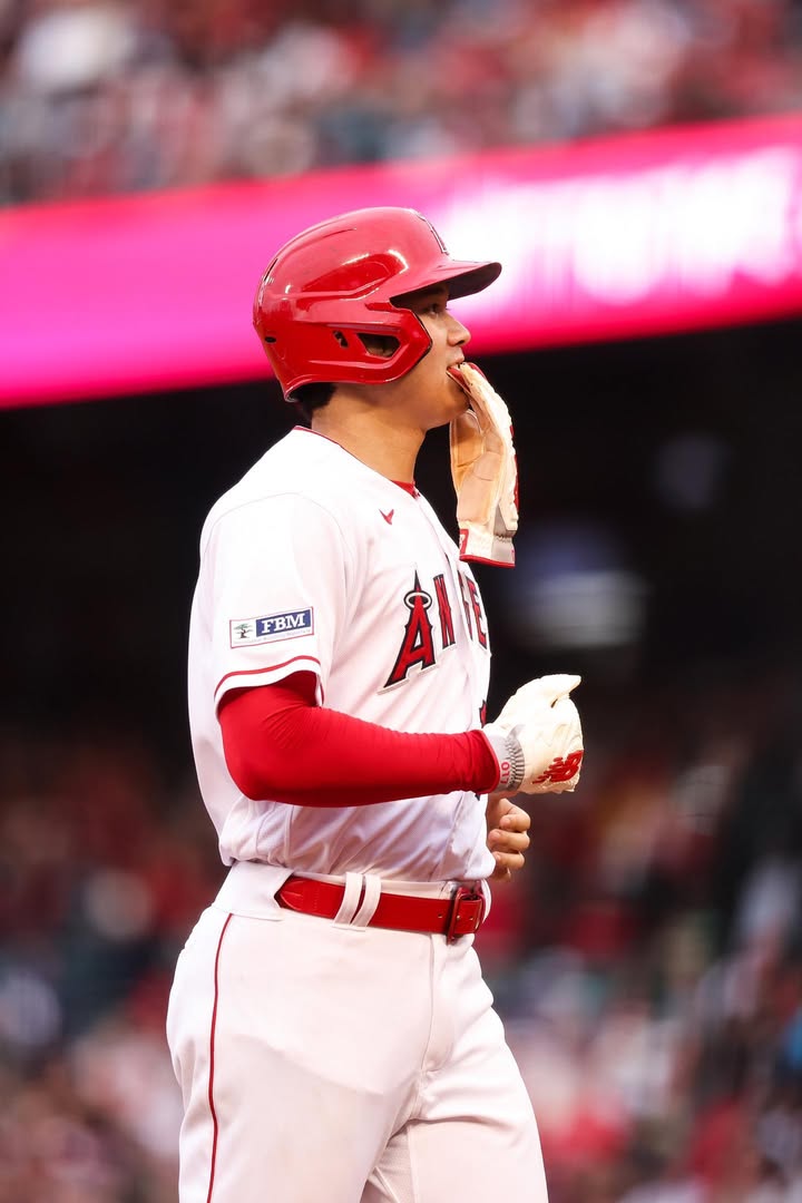 No photo description available.