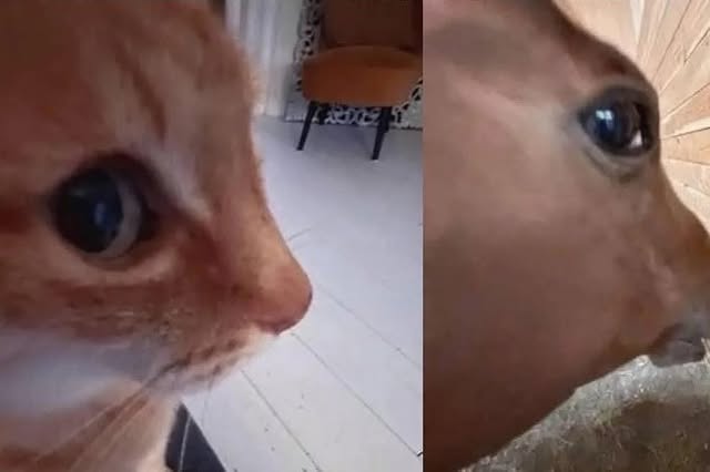 No photo description available.