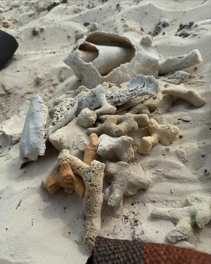 No photo description available.