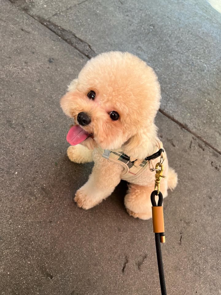 No photo description available.