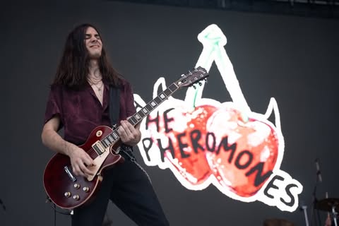 May be an image of guitar and text