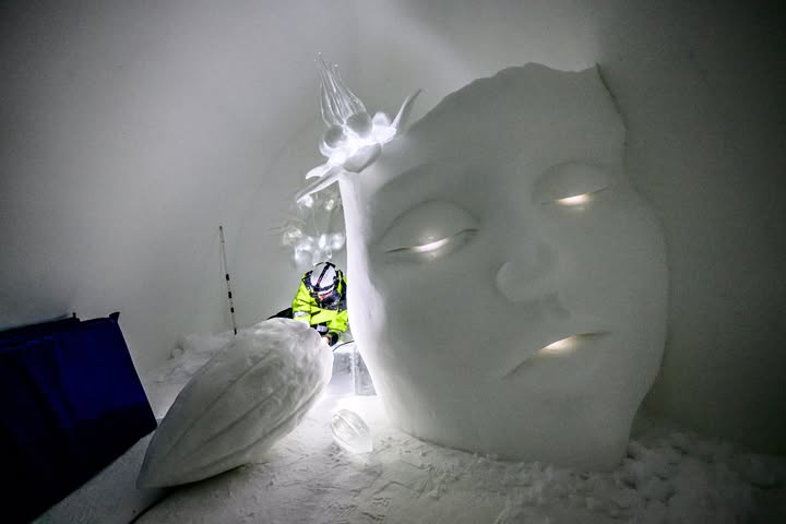 No photo description available.