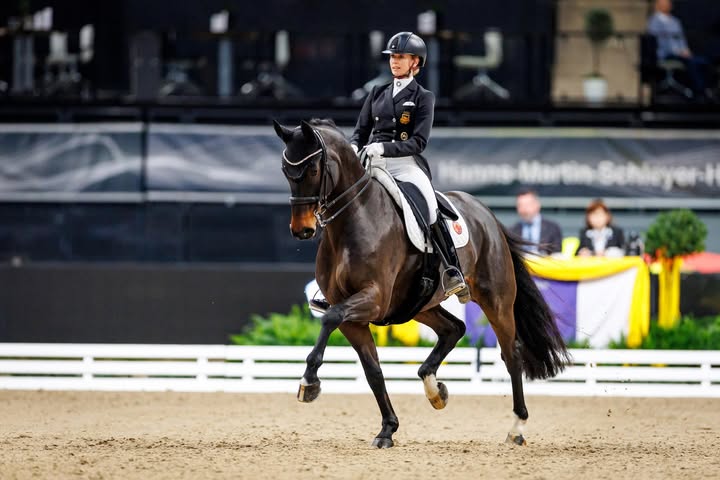 May be an image of riding on a horse, horse, pants, stirrup and text