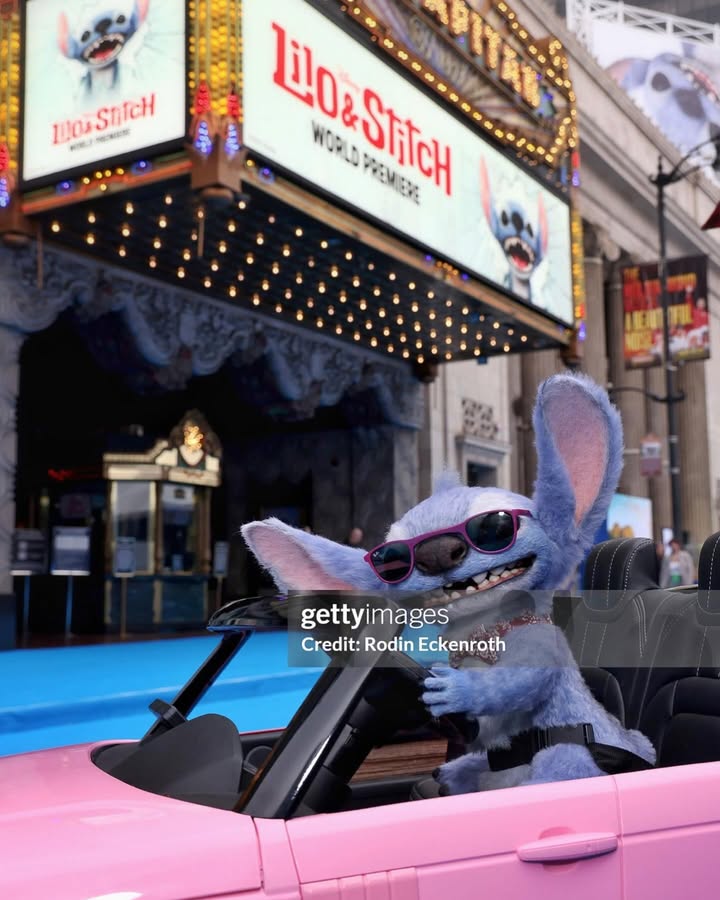 No photo description available.