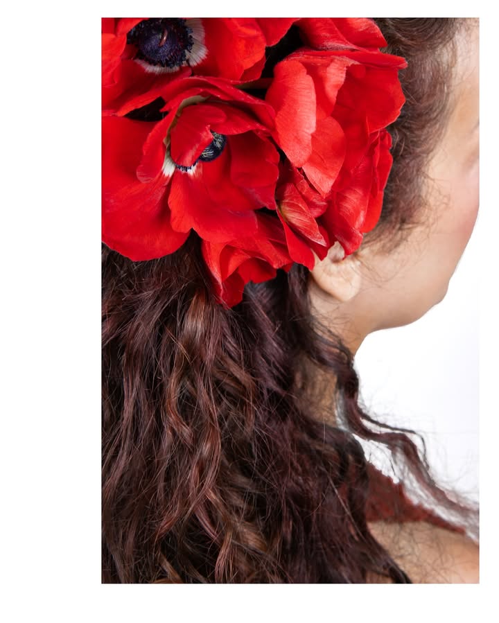 No photo description available.