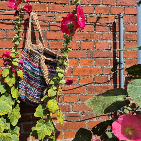 No photo description available.