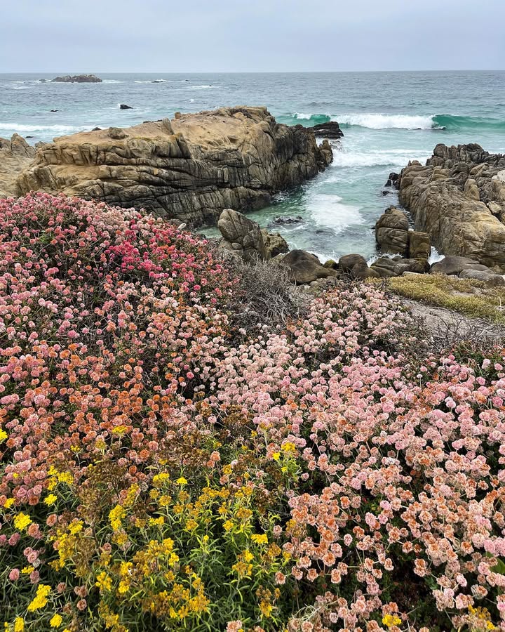 No photo description available.