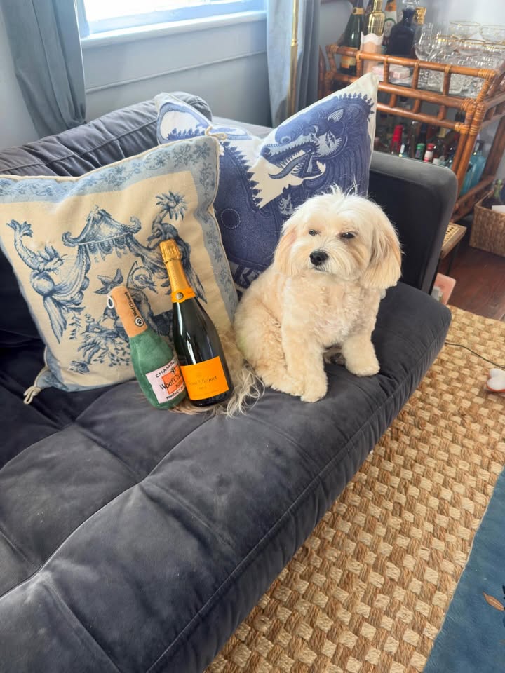 May be an image of champagne and text