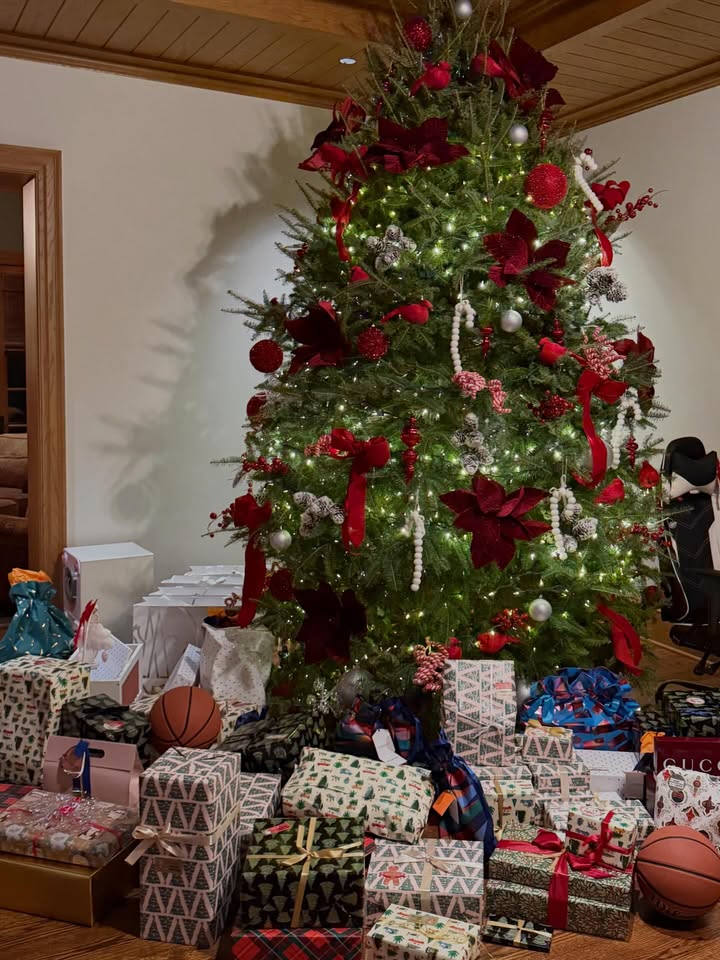 May be an image of christmas tree, tinsel and text